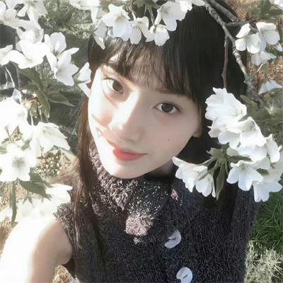 不死鸟之恋